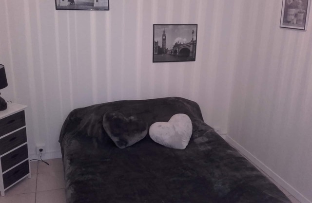 Beautiful refurbished apartment, 4 people. Close to all amenities Pau on foot