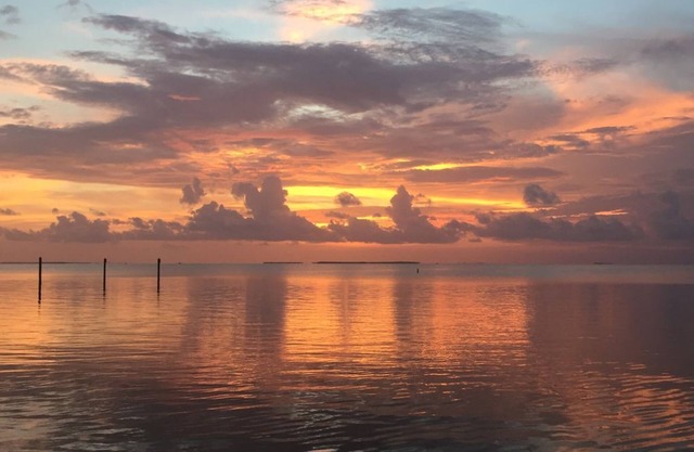 Beautiful Studio Apartment - Summer Sea Condo #230