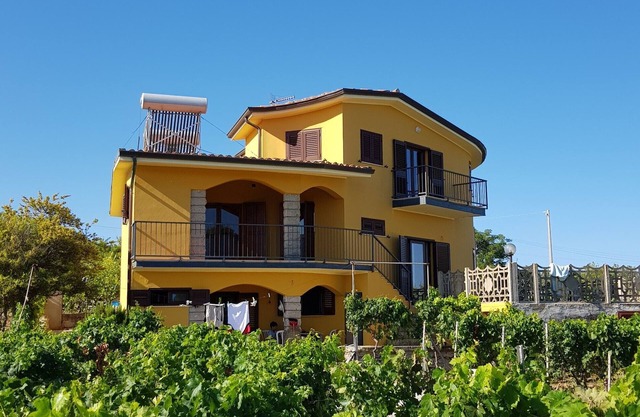 Beautiful villa in the middle vineyard.