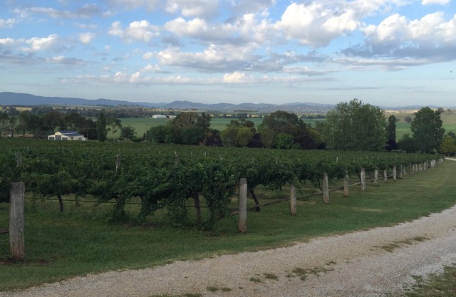 Beautiful Vineyard Accommodation