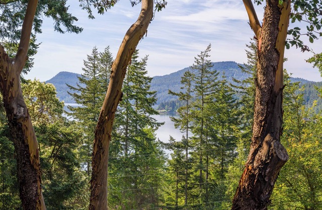Beautiful Water Views, Pet- Friendly, Close to Town, Beaches, Hiking, Kayaking