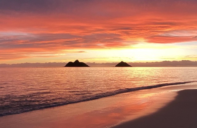 Beautifully remodeled Lanikai house,spacious inside alot of green space outside