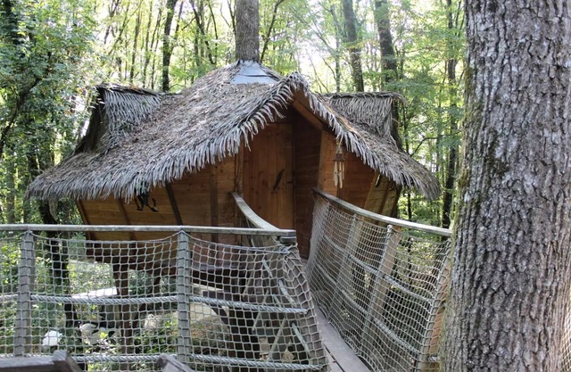 Beauty Park - Squirrel Cabin 4 people