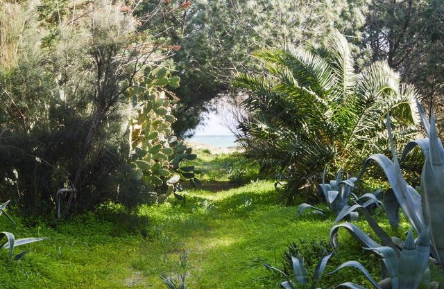Bedda Seaside House .