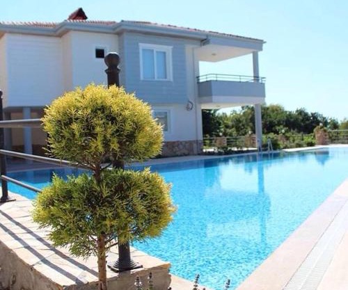 Begon Villa