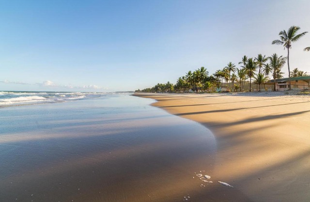 Belíssimo apto a 500m praias do sul
