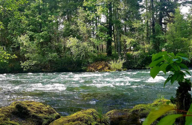 Belknap House on the McKenzie River