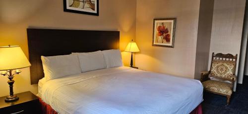 Bellis Inn