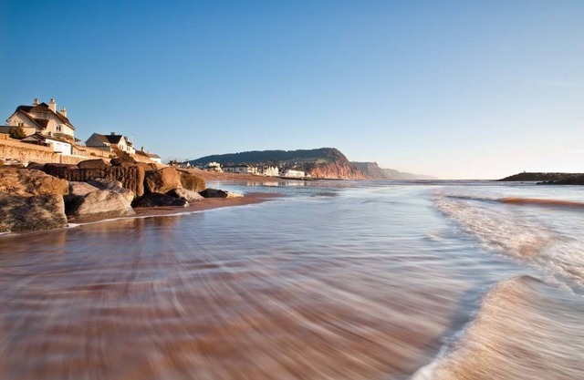 Belmont House Beer - Adults Only