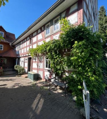 Bergfohlenhof