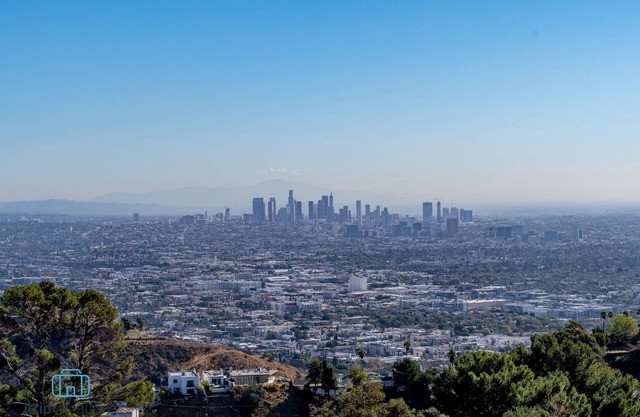 "Best Jet Liner Views" in LA on "Staycation" show Dogs Ok