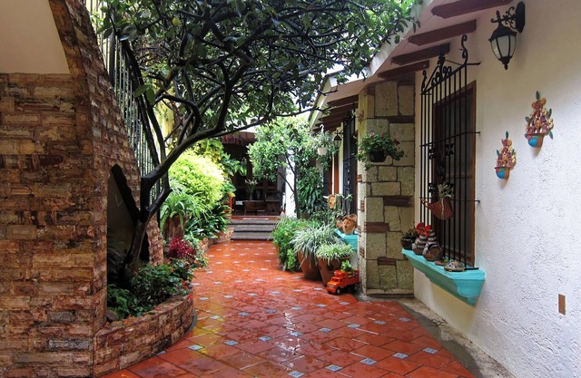 Best of Oaxaca apartments. Two, One Bedroom Apartments . Apt Bella