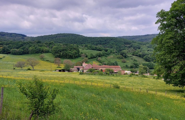 Between vineyards and forests in the Mâconnais
