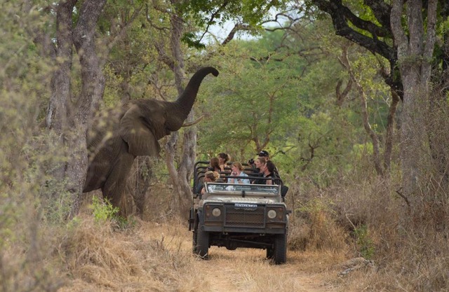 Big 5 Self-catering Lodge