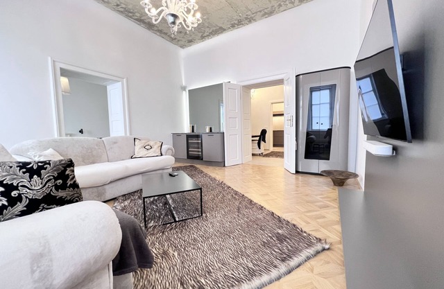 Big and spaceous modern apartment