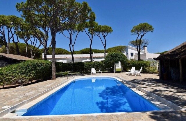 Big Villa with huge garden of pinetrees and a pool, nearby the beach
