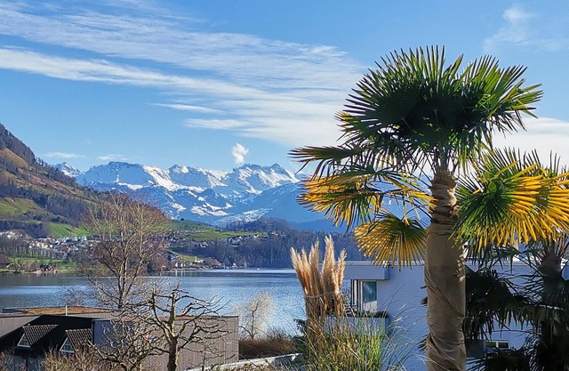 Bijou on Lake Lucerne