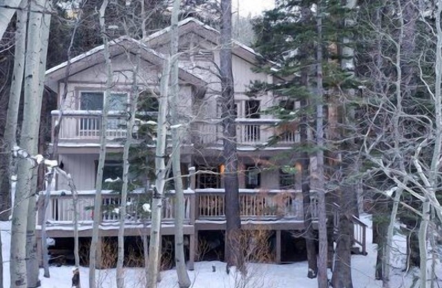 Birch Creek #8 Forest Setting, located on Reversed Creek