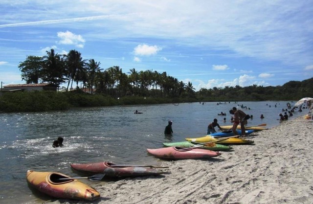 Bird Corner Ilhéus Olivença - Studio 50m from the beach