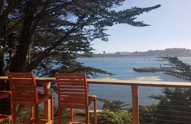 Bird Watcher Paradise 2 Bedroom 2 Bath with Beautiful View