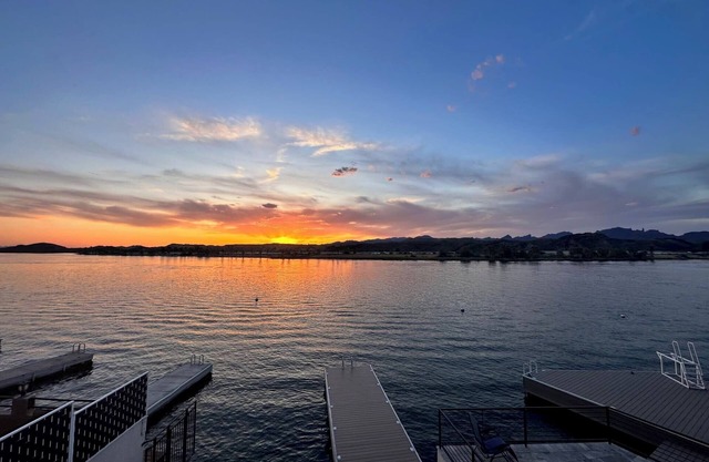 Birdie Nest Summary: