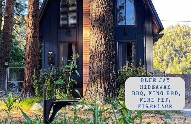 BJH · Charming Cabin Nestled in Quiet Cul-De-Sac