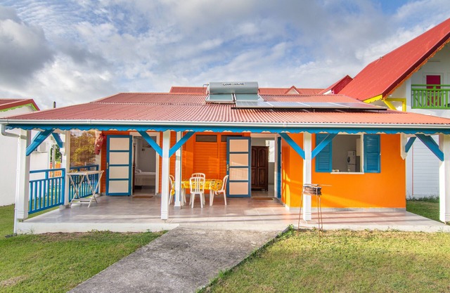 Blue or yellow hummingbirds