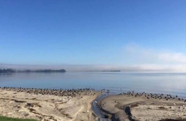 Black Swan Retreat--- Best of Heaven's Creations