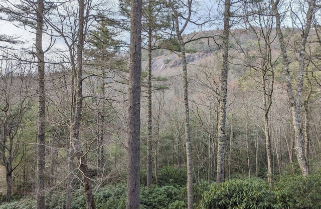 BlackBeary Hideaway For Fun