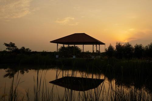 Blackbuck Safari Lodge Velavadar