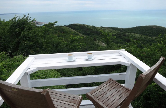 BlackSeaRama Private Villa 101