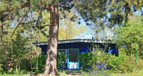 Blauer Bungalow am See mit Boot