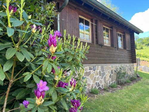 Blockhütte Engeln-Eifel
