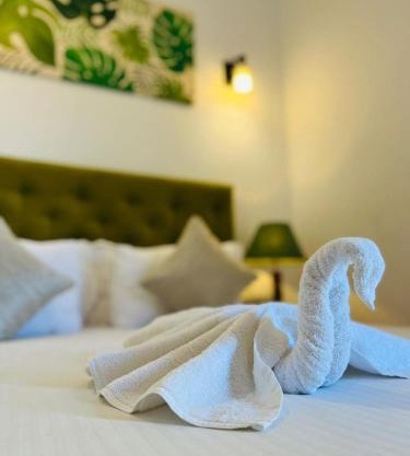 Blue Bird Hotels