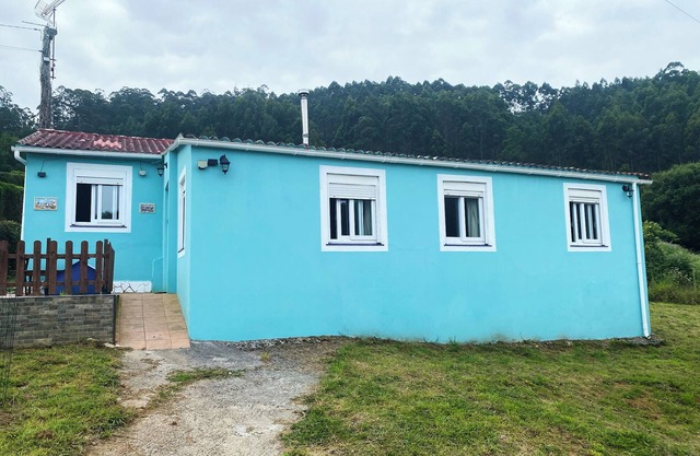 Blue House Pantin, between waves and meadows