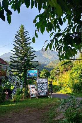 Blue Mountain Cottage