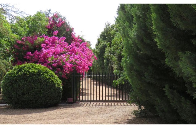 Blue Mountain View Cottages