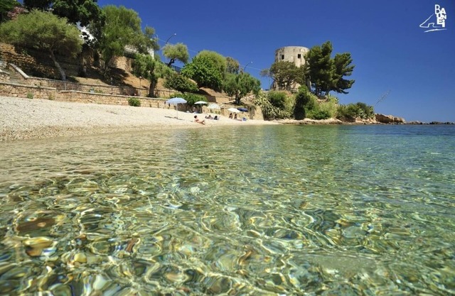 Blue Navarrese 1