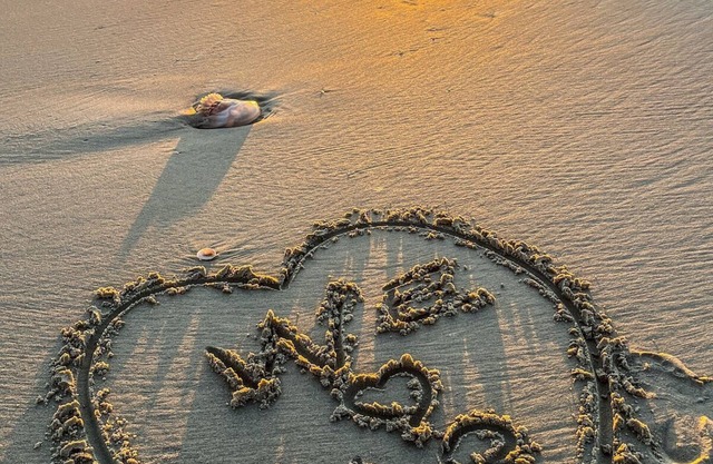 Blue Palms at the Beach · Blue Palms at the Beach