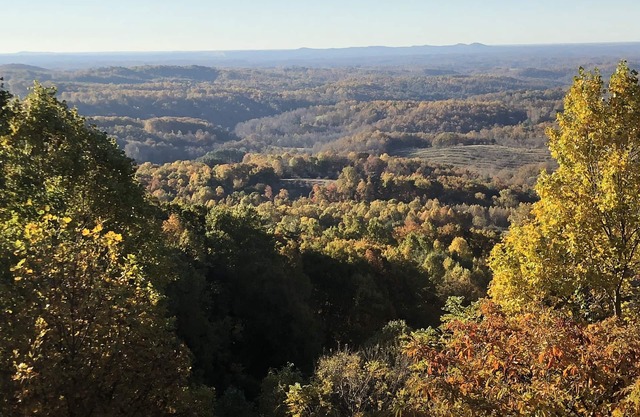 Blue Ridge Parkway Seclusion
