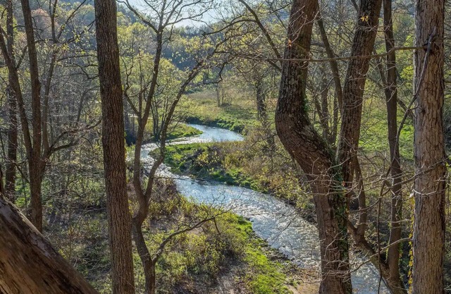 Blue Ridge Scenic Cabin – Cozy Mountain Escape at Engadine Inn & Cabins
