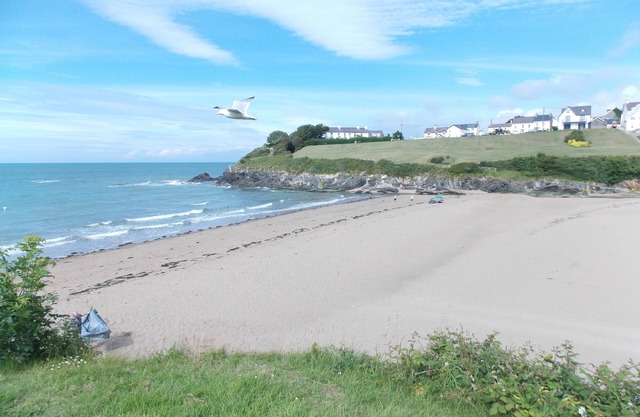 Bluebell Cottage - 4 miles from unspoilt beaches - families and dogs welcome