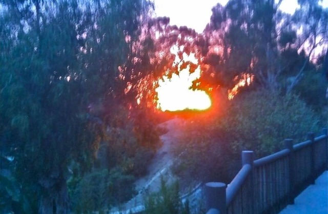 Bluebird Guest House: Walk to Beach & H.I.P. District – Art, Wellness, Tranquil