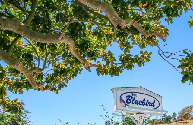 Bluebird Inn