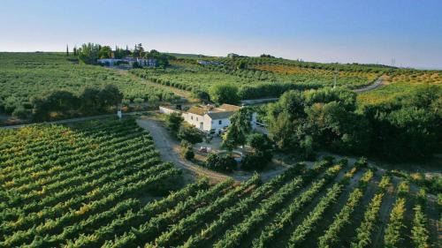 Bodega Boutique Finca Buytrón