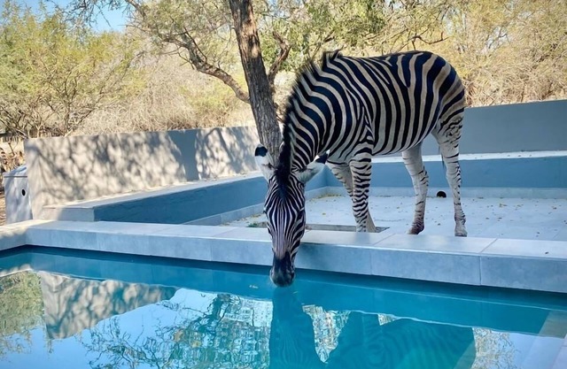 Bordering Kruger National Park, this modern and spacious 3 bedroom lodge awaits