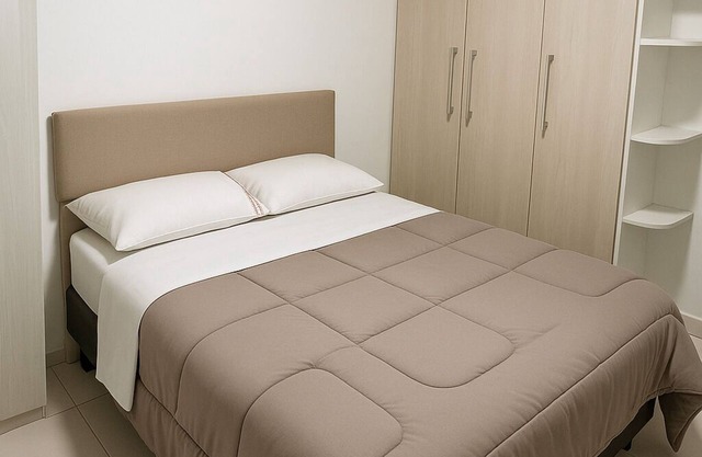 Cozy 1 bedroom apartment in Barra Olimpica