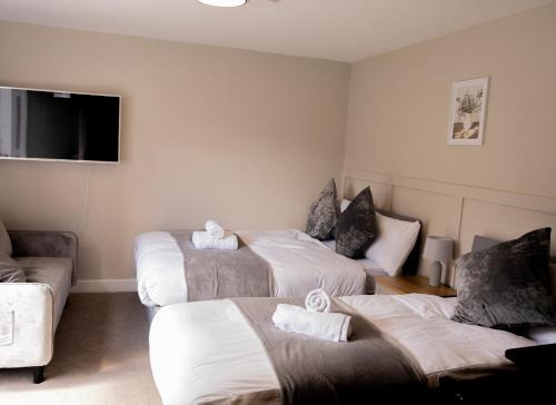 Brand New Studio Gem sleeps 3