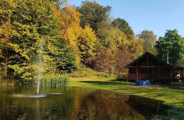 Breathtaking Long Eddy Cabin! Delaware River Fishing Access Right Down the Road!