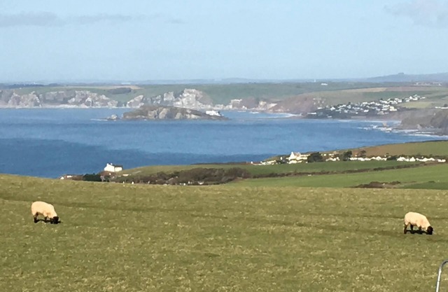 Breathtaking sea views between Salcombe and Hope Cove